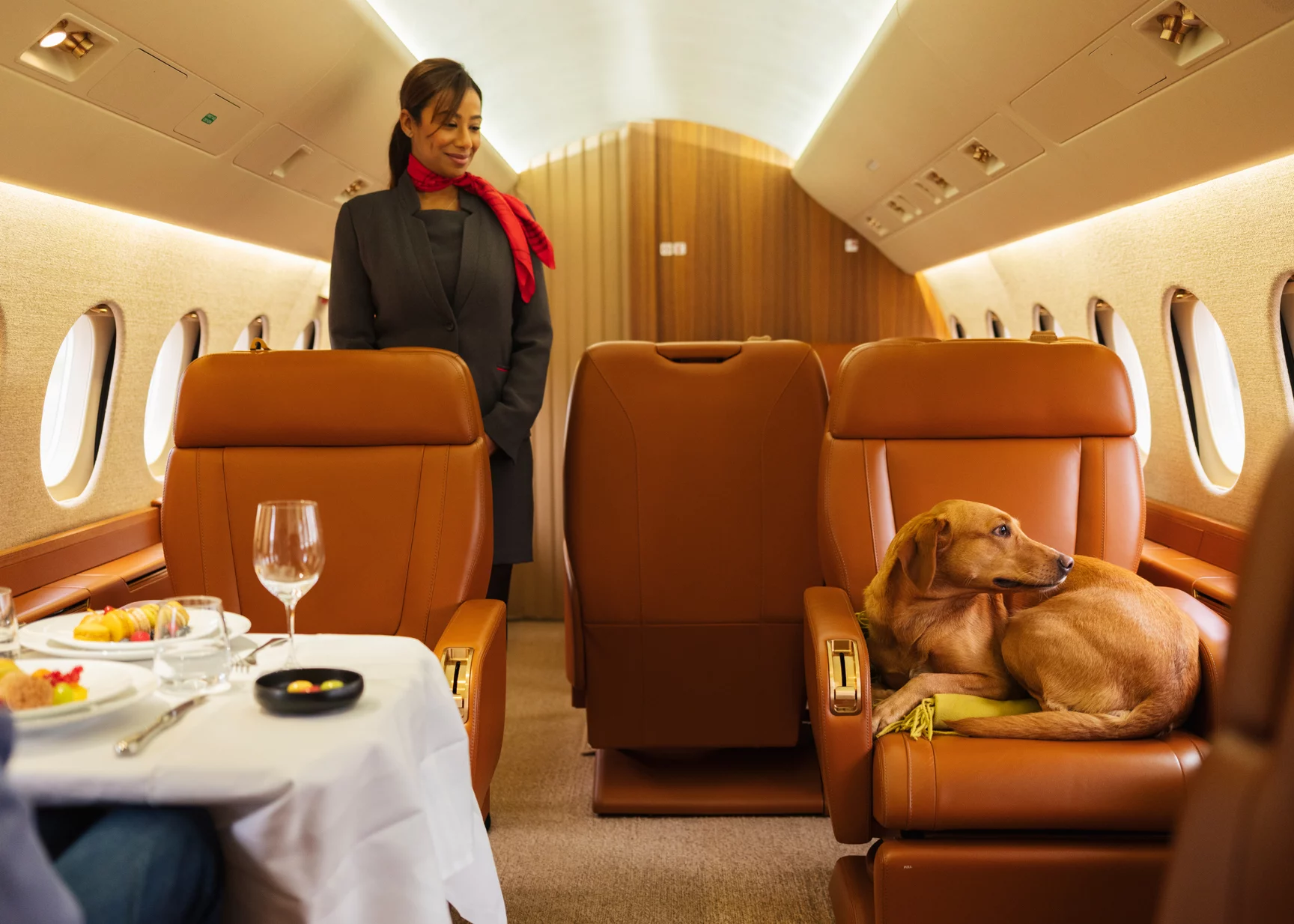 Flight attendant in a FLYINGGROUP private jet cabin with a set table and a dog